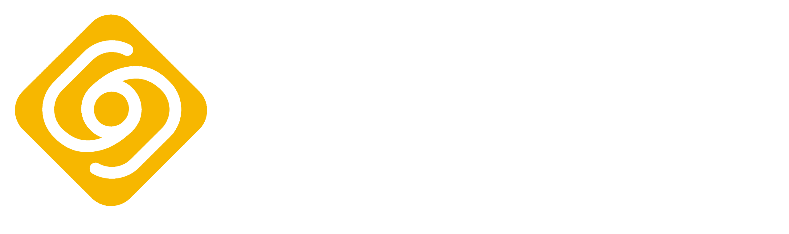 VisNet Logo Outlines